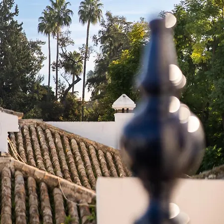 Tiempo Y Silencio By Grupo Cappuccino Villa Sevilla